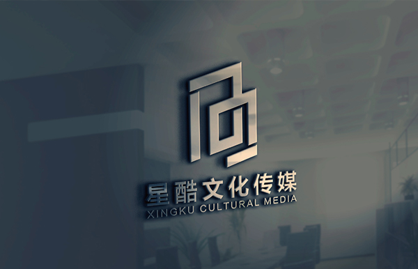 星酷文化传媒公司_logo设计